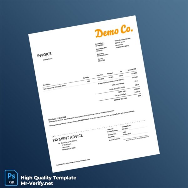 USA Demo Company Invoice Template in Word and PDF formats