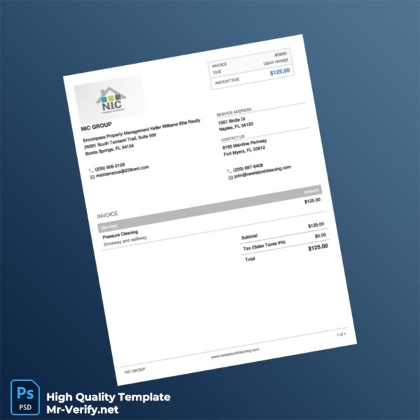USA NIC Group Invoice Template in Word and PDF formats USA NIC Group Invoice Template in Word and PDF formats