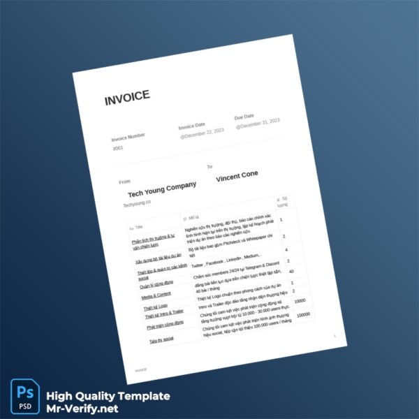 USA Tech Young Company Invoice Template in Word and PDF formats