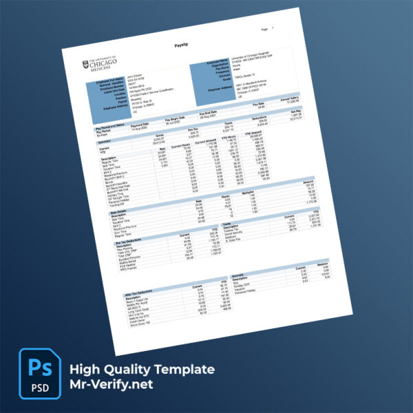 University of Chicago Hospitals  payslip word and pdf template