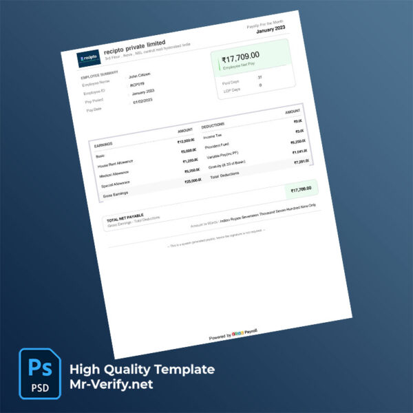 recipto-private-limited-payslip-word-and-pdf-template-mrverify recipto private limited payslip word and pdf template