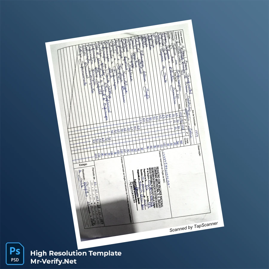 Brazil Federal Republic Diploma Template-page2 Printable Brazil Federal Republic Diploma Template page 2 Image Preview - PrintDocs