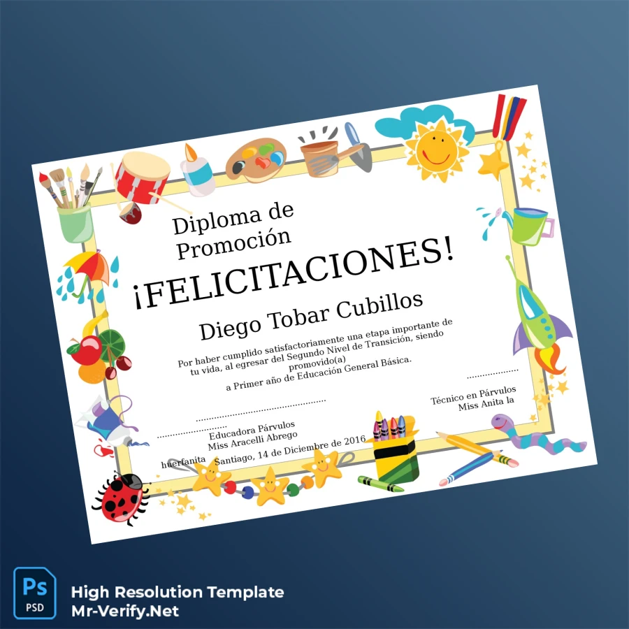 Chile Educational Institution Diploma Certificate Printable Chile Educational Institution Diploma Certificate Image Preview - PrintDocs