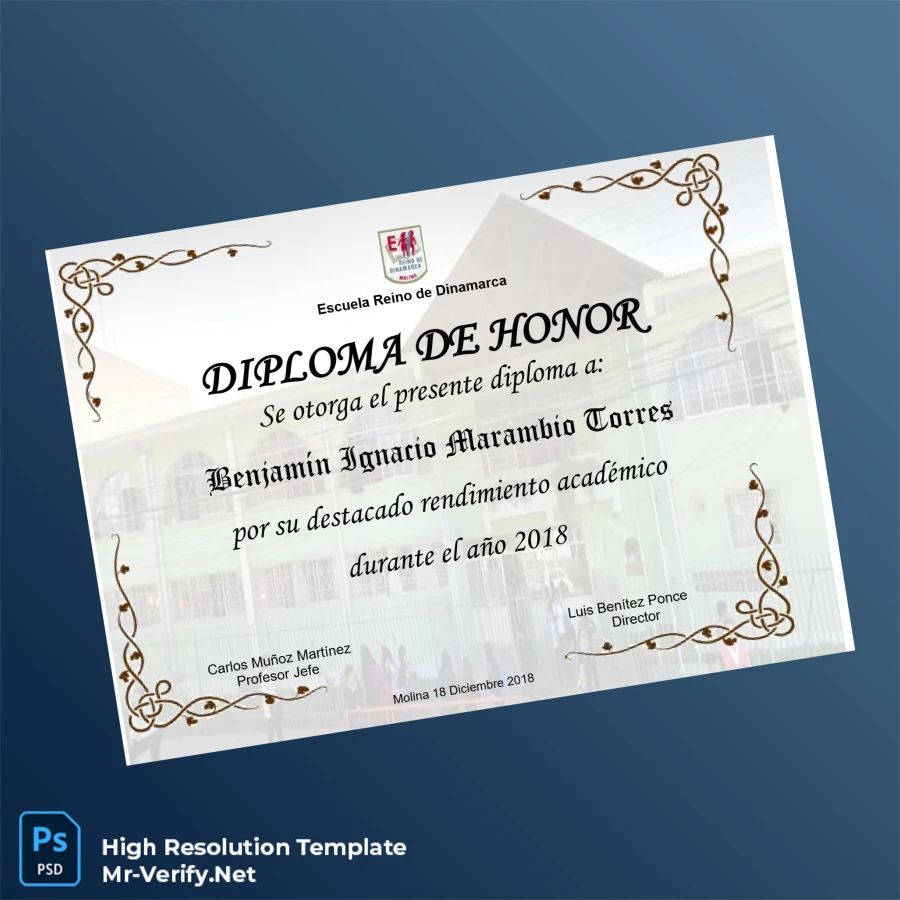Chile Escuela Reino de Dinamarca Honor Diploma Template-page2 Printable Chile Escuela Reino de Dinamarca Honor Diploma Template page 2 Image Preview - PrintDocs