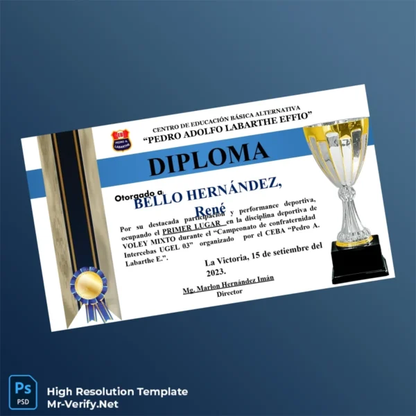 Printable Peru CEBA Pedro Adolfo Labarthe Effio Diploma in Mixed Volleyball and Academic Achievements Image Preview - PrintDocs