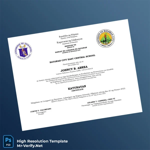 Printable Philippines Bayawan City East Central School Elementary Curriculum Certificate Image Preview - PrintDocs