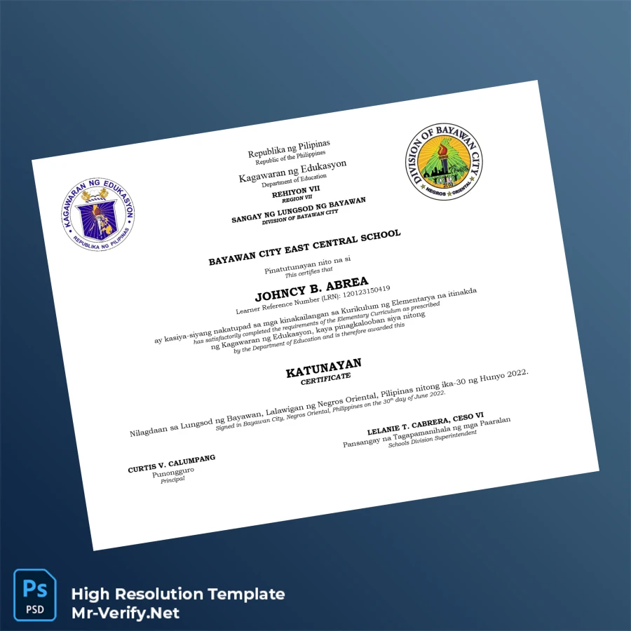 Philippines Bayawan City East Central School Elementary Curriculum Certificate Printable Philippines Bayawan City East Central School Elementary Curriculum Certificate Image Preview - PrintDocs