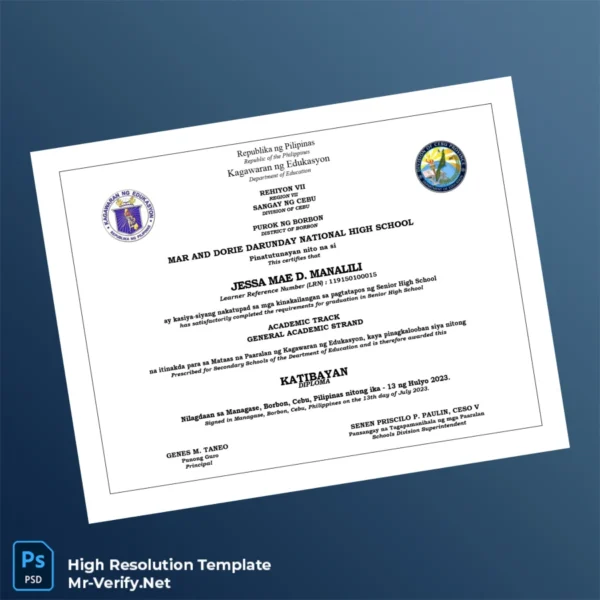 Printable Philippines Mar and Dorie Darunday National High School High School Diploma Image Preview - PrintDocs