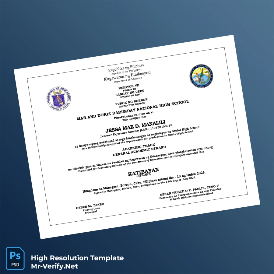 Philippines Mar and Dorie Darunday National High School High School Diploma Printable Philippines Mar and Dorie Darunday National High School High School Diploma Image Preview - PrintDocs