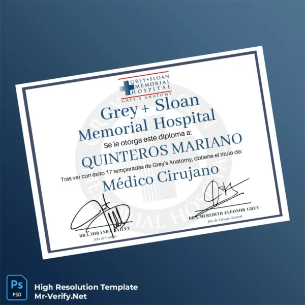 USA Grey Sloan Memorial Hospital Doctor of Medicine Certificate Printable USA Grey Sloan Memorial Hospital Doctor of Medicine Certificate Image Preview - PrintDocs